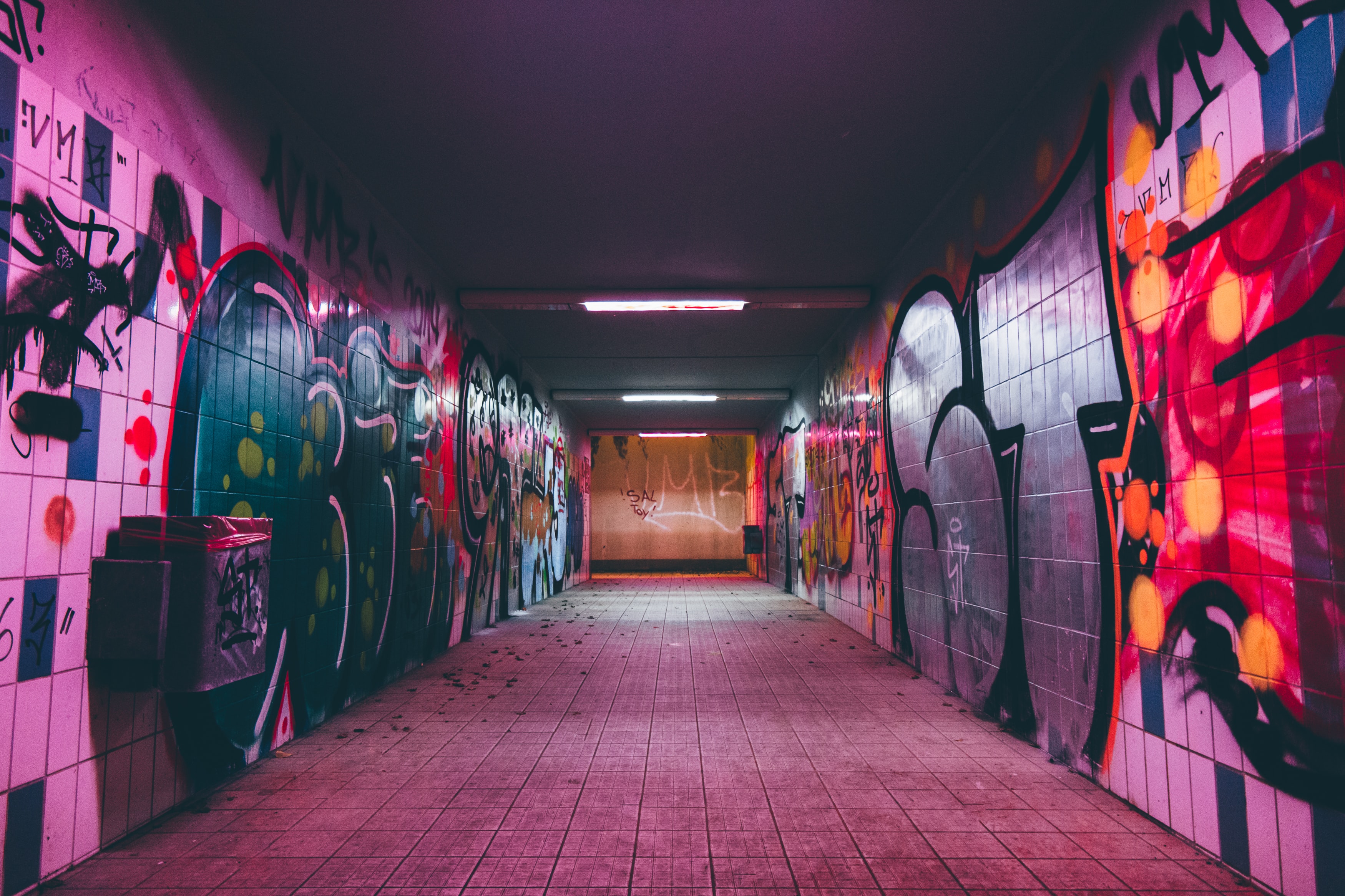 Purple Tunnel